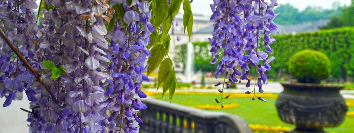 Salzburg Mirabell Park