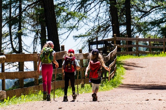 Kinder wandern im Wald